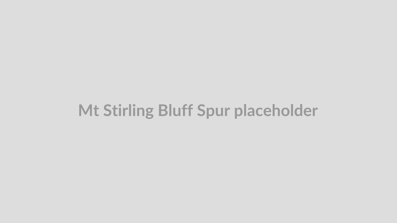 Mt Stirling Bluff Spur snow cam captured at 7 June 2026, 4:50 am