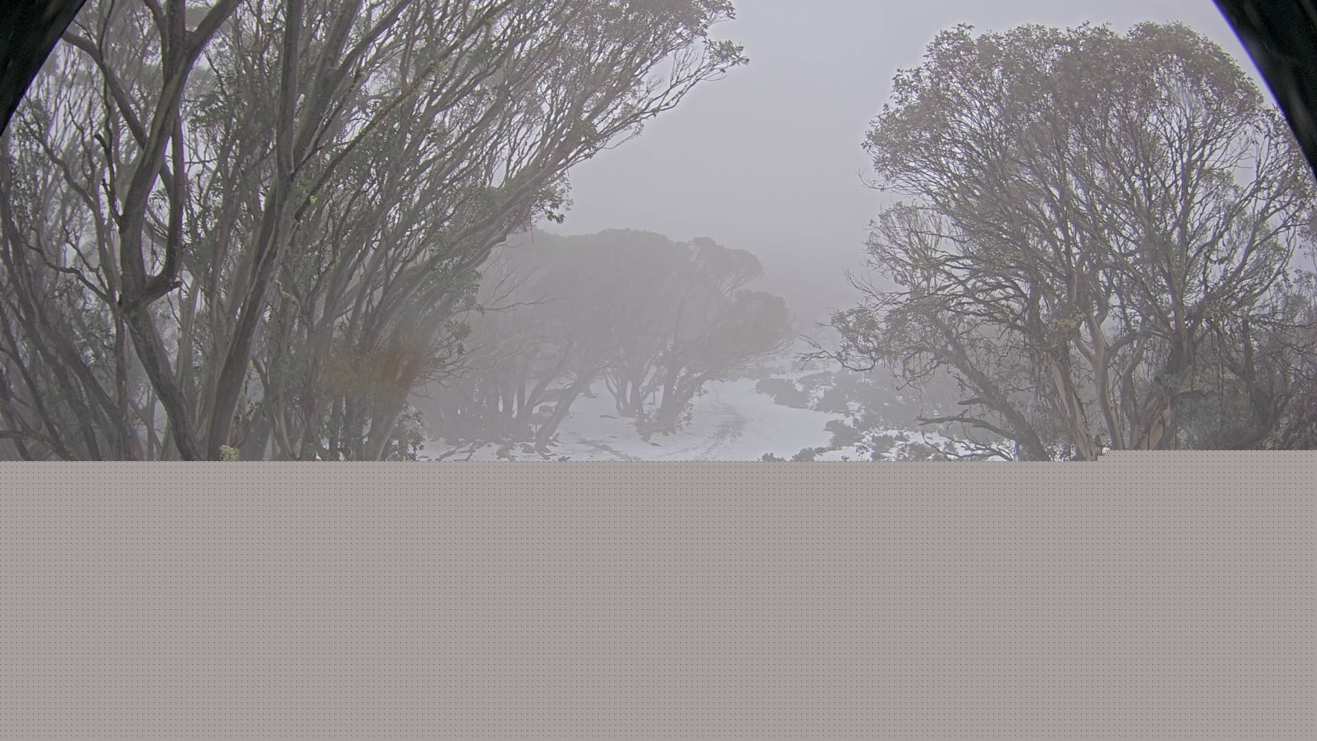 Mt Stirling Bluff Spur snow cam captured at 9 June 2026, 5:52 am