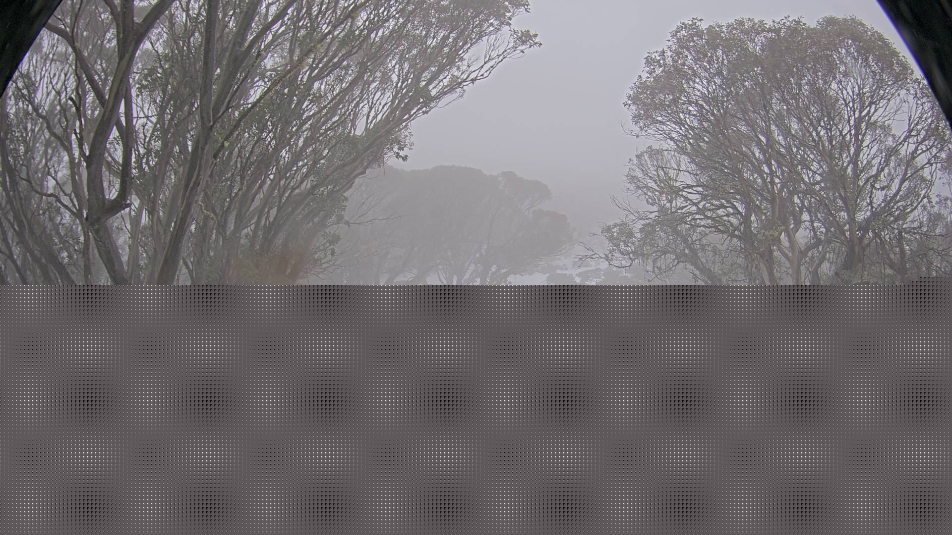 Mt Stirling Bluff Spur snow cam captured at 9 June 2026, 5:58 am