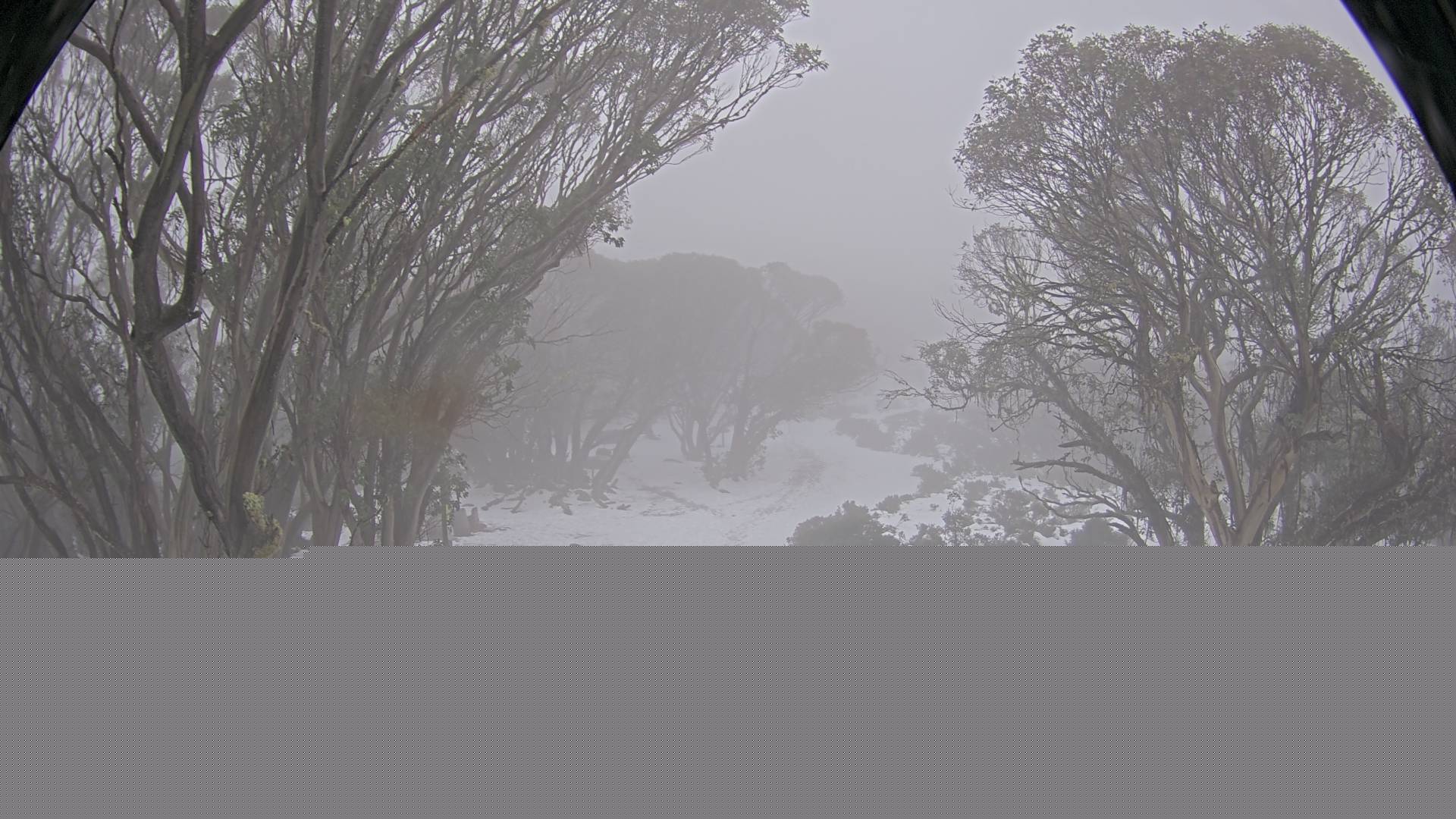 Mt Stirling Bluff Spur snow cam captured at 9 June 2026, 6:04 am