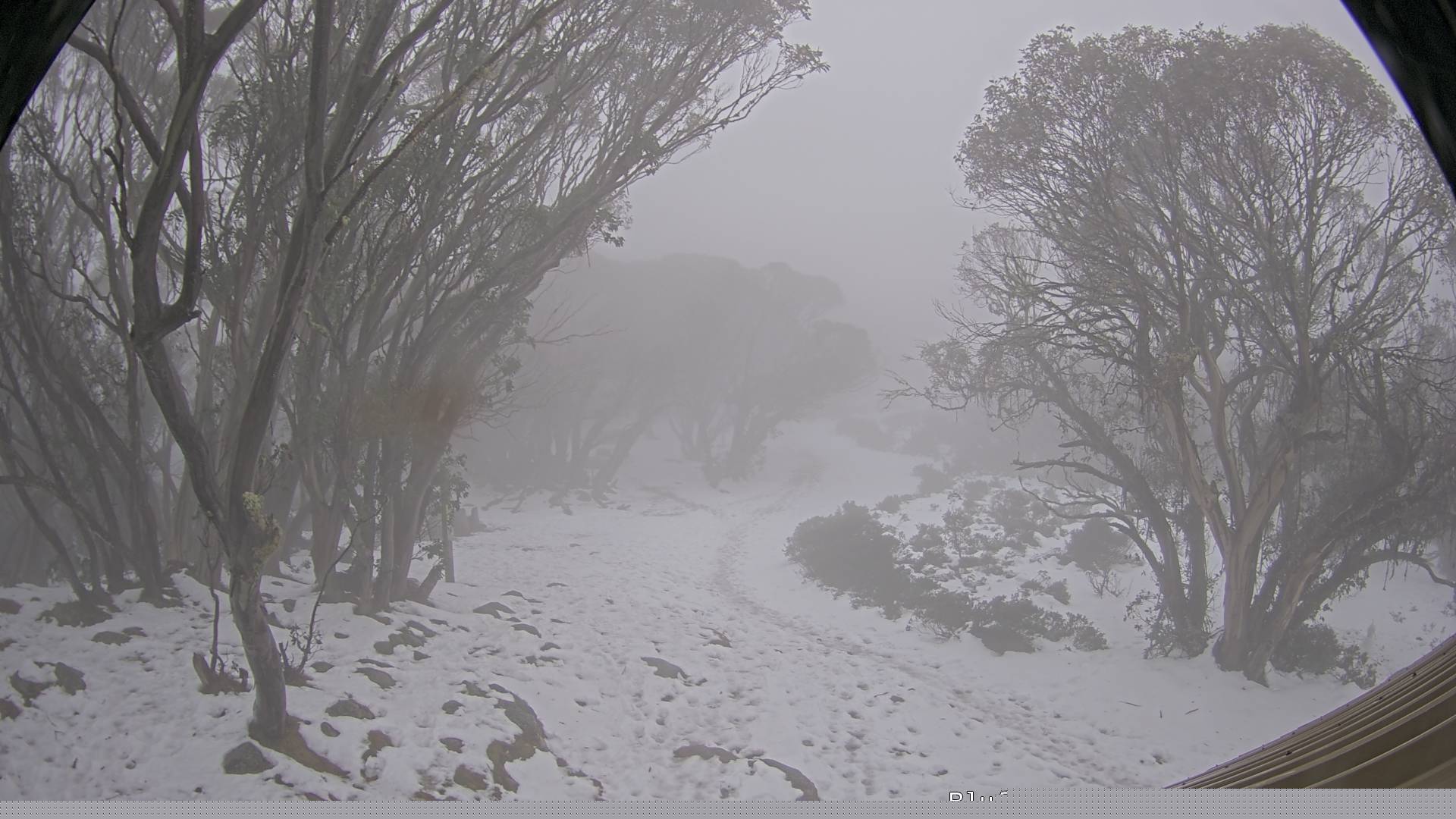 Mt Stirling Bluff Spur snow cam captured at 9 June 2026, 6:10 am