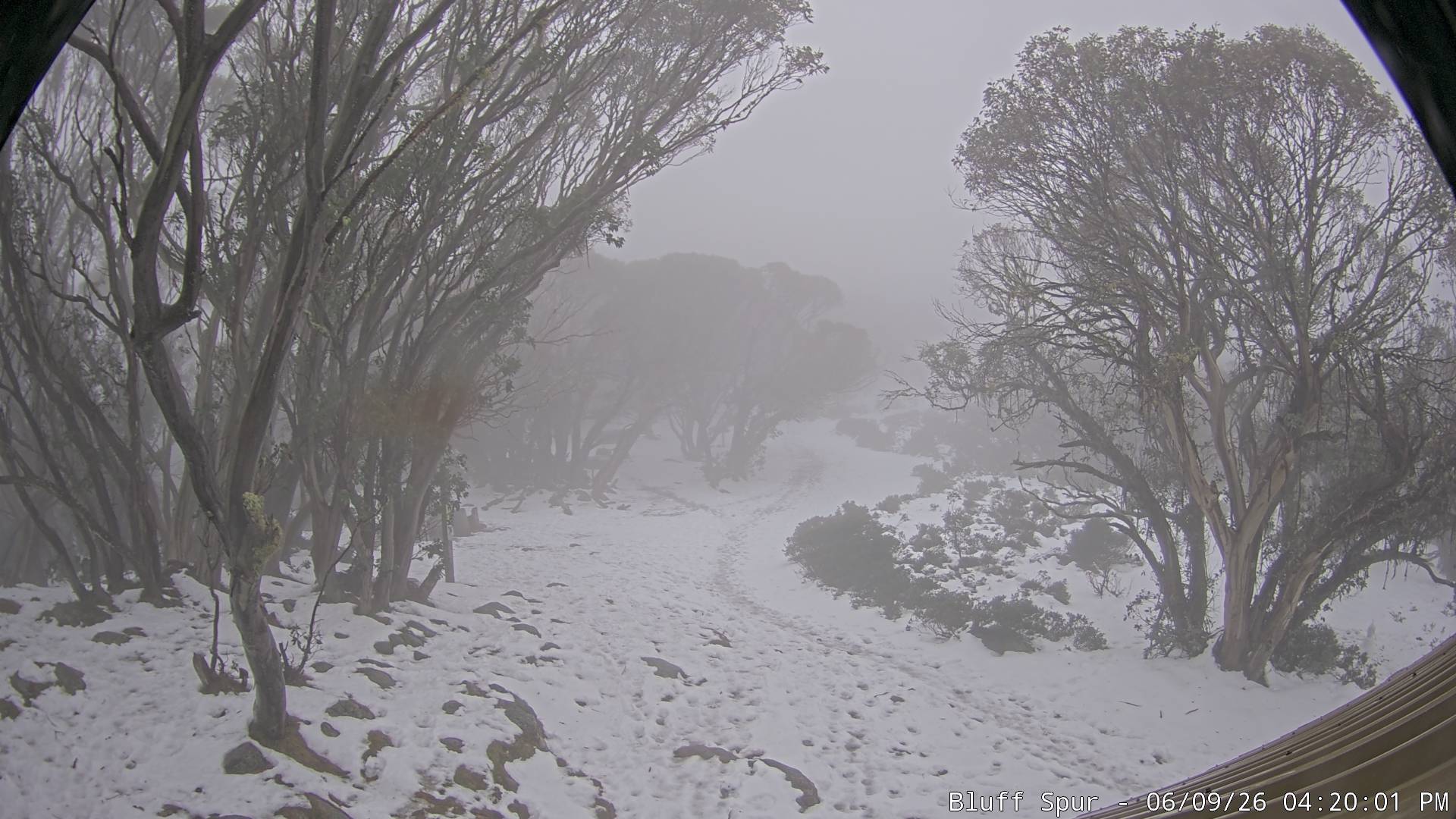 Mt Stirling Bluff Spur snow cam captured at 9 June 2026, 6:22 am
