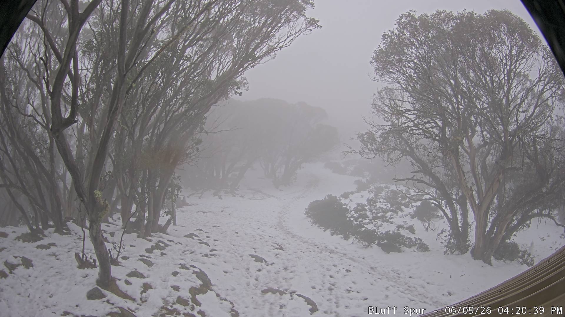 Mt Stirling Bluff Spur snow cam captured at 9 June 2026, 6:28 am