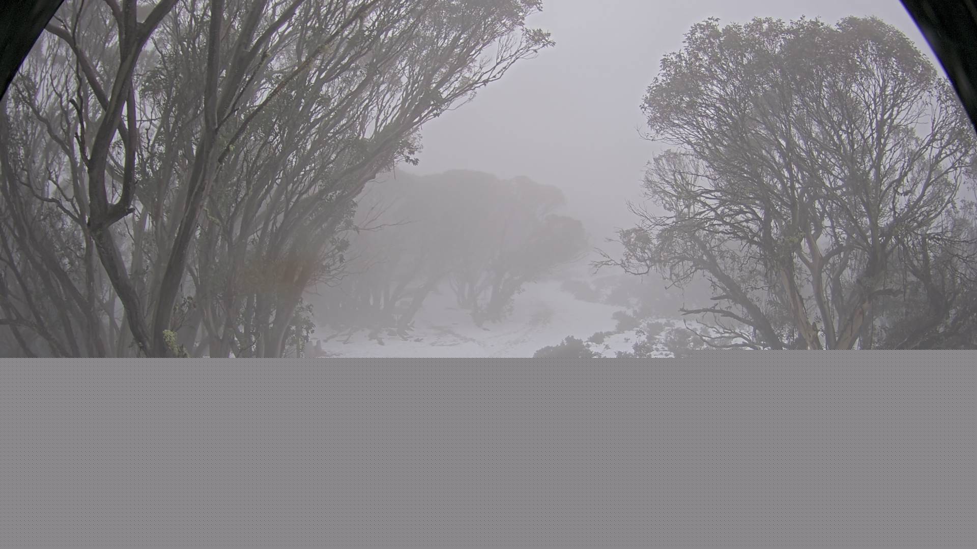 Mt Stirling Bluff Spur snow cam captured at 9 June 2026, 6:34 am