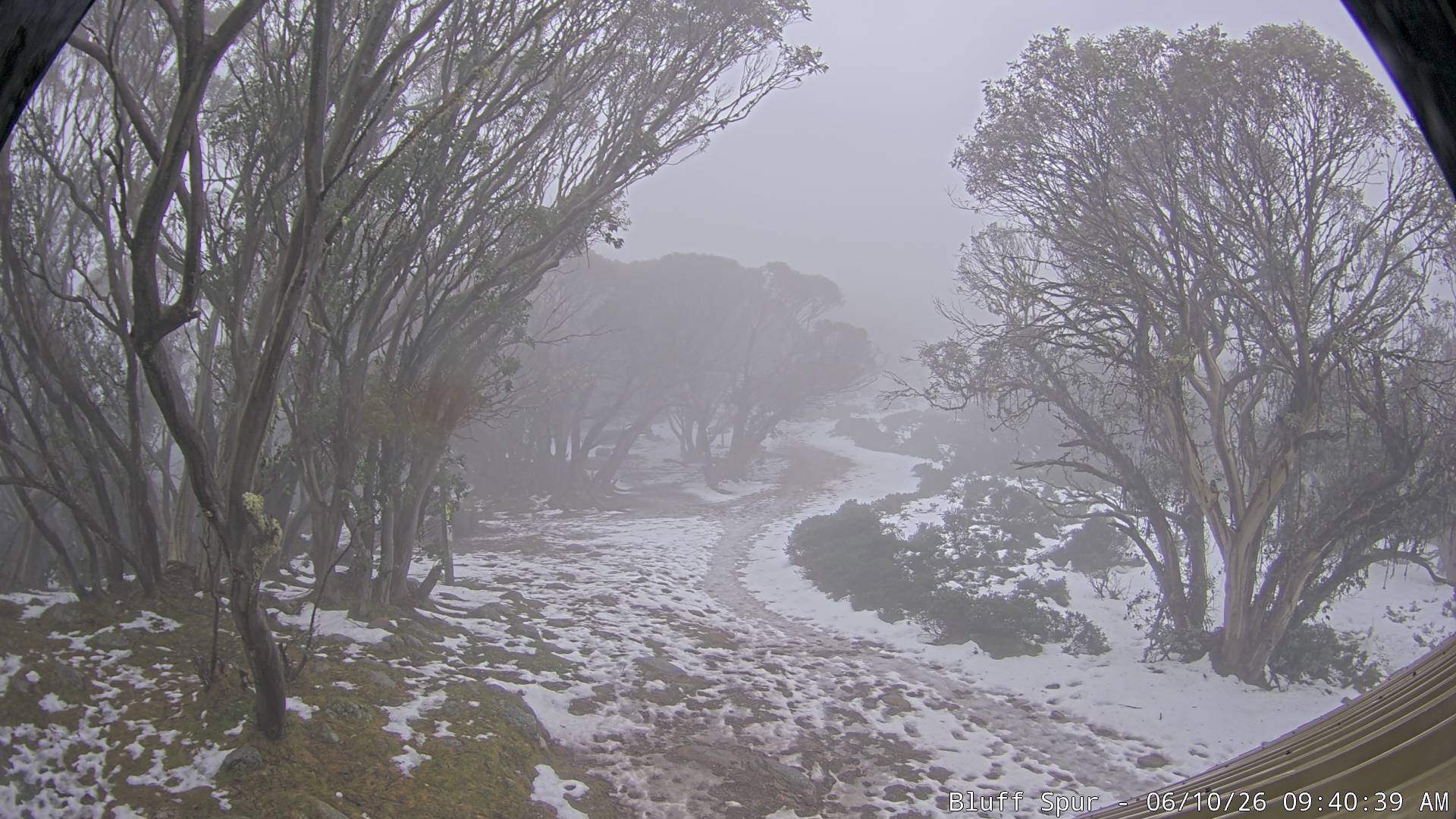 Mt Stirling Bluff Spur snow cam captured at 9 June 2026, 11:46 pm