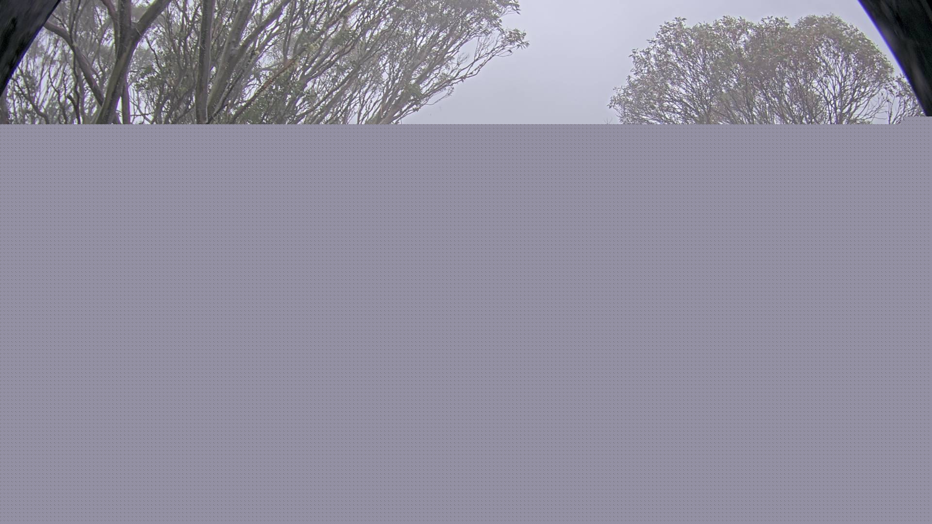 Mt Stirling Bluff Spur snow cam captured at 9 June 2026, 11:52 pm