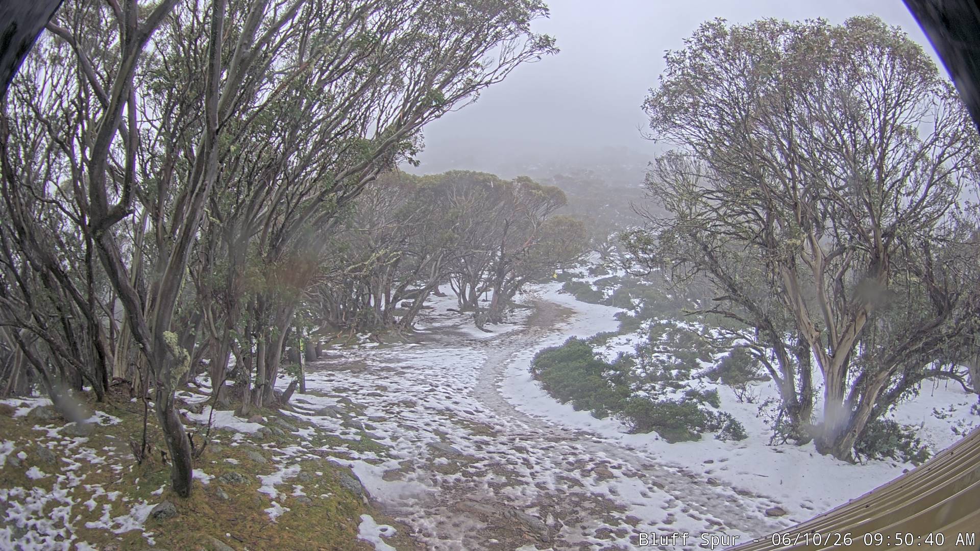 Mt Stirling Bluff Spur snow cam captured at 9 June 2026, 11:58 pm