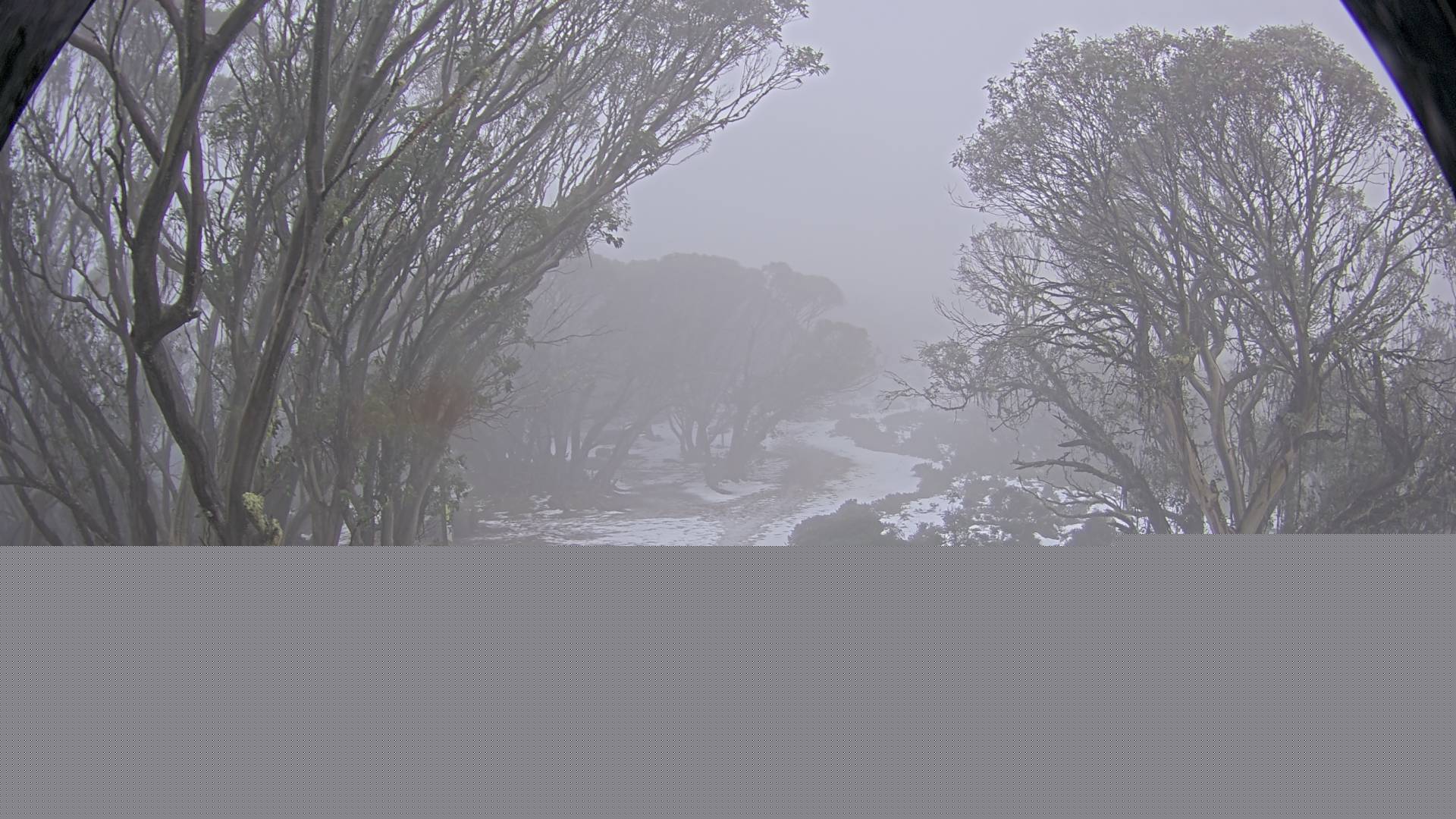 Mt Stirling Bluff Spur snow cam captured at 10 June 2026, 12:04 am