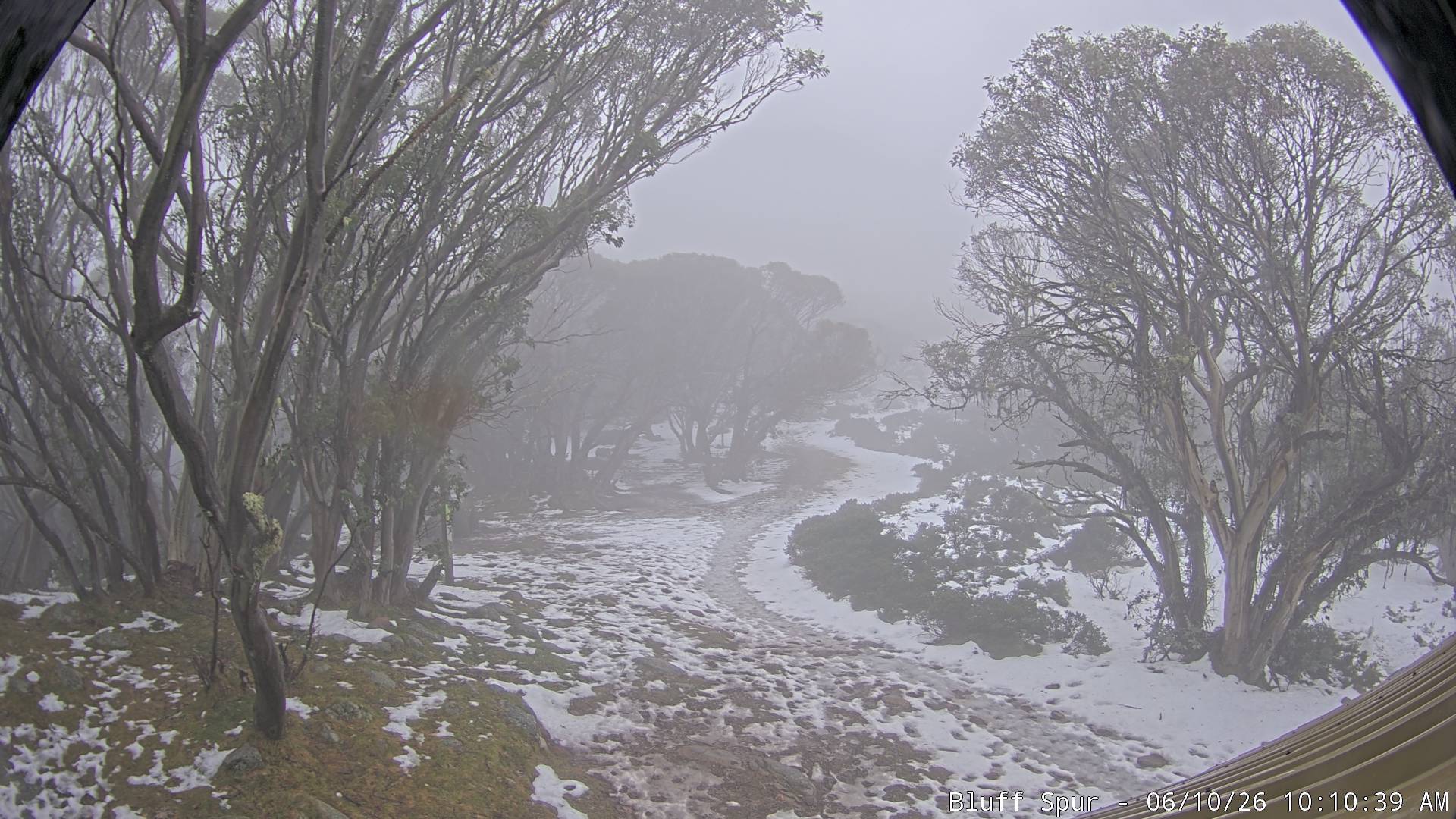 Mt Stirling Bluff Spur snow cam captured at 10 June 2026, 12:16 am