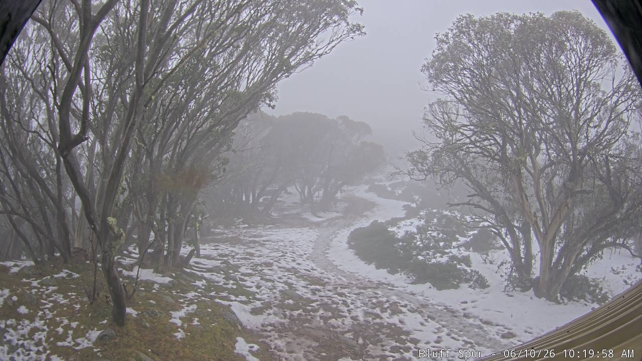 Mt Stirling Bluff Spur snow cam captured at 10 June 2026, 12:22 am