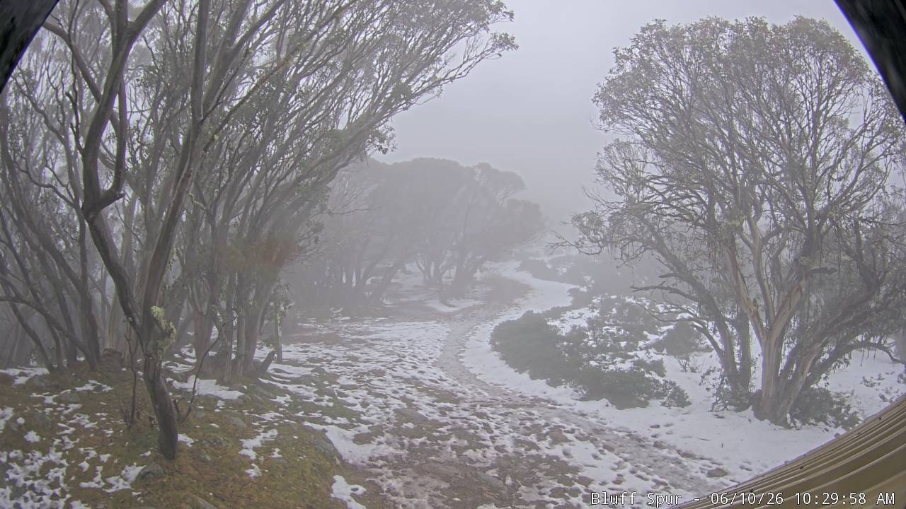 Mt Stirling Bluff Spur snow cam captured at 10 June 2026, 12:34 am