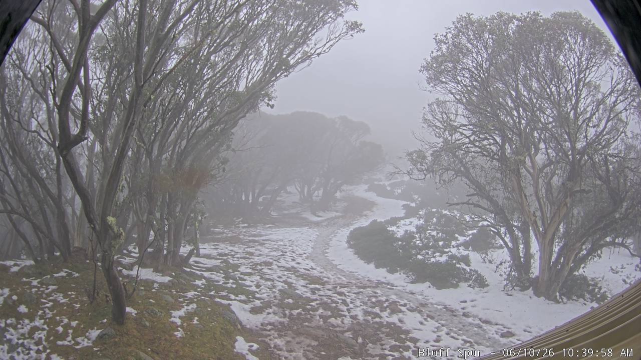 Mt Stirling Bluff Spur snow cam captured at 10 June 2026, 12:40 am