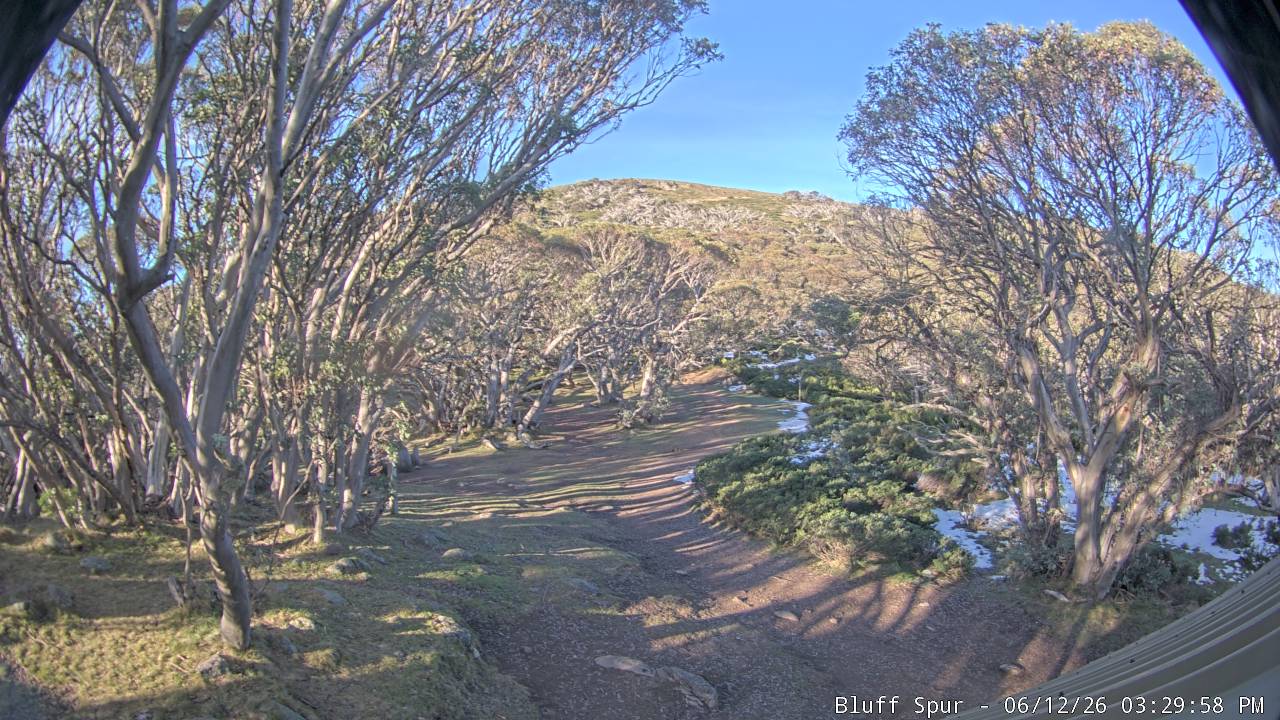 Mt Stirling Bluff Spur snow cam captured at 12 June 2026, 5:32 am