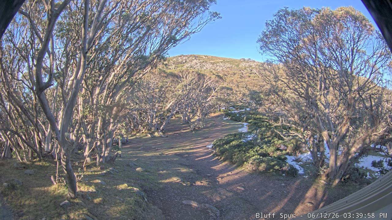 Mt Stirling Bluff Spur snow cam captured at 12 June 2026, 5:44 am