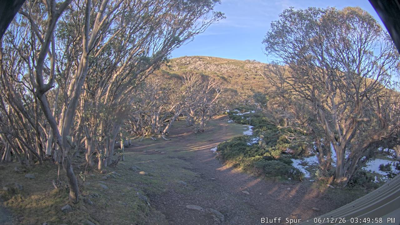 Mt Stirling Bluff Spur snow cam captured at 12 June 2026, 5:50 am