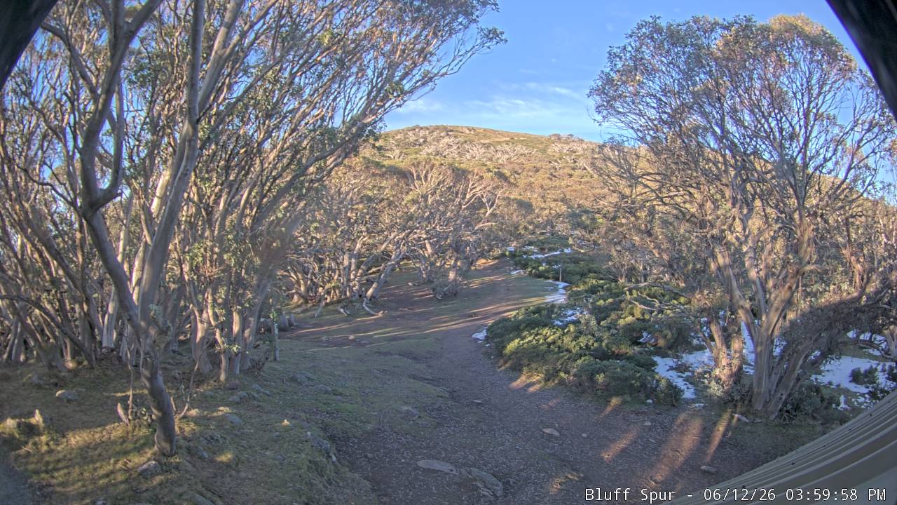 Mt Stirling Bluff Spur snow cam captured at 12 June 2026, 6:02 am