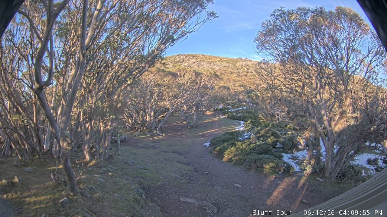 Mt Stirling Bluff Spur snow cam captured at 12 June 2026, 6:14 am