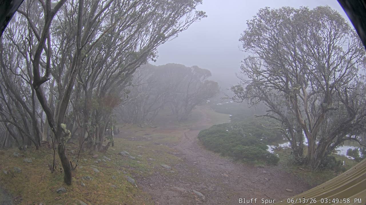 Mt Stirling Bluff Spur snow cam captured at 13 June 2026, 5:50 am