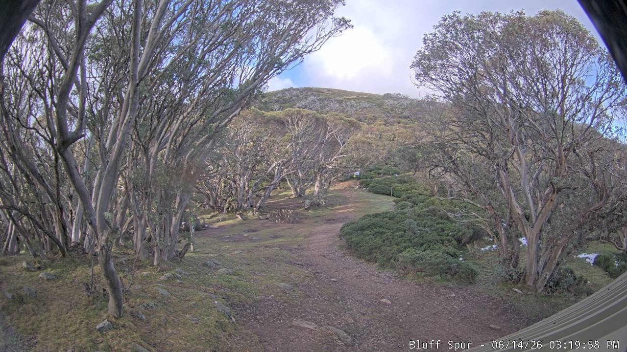 Mt Stirling Bluff Spur snow cam captured at 14 June 2026, 5:26 am