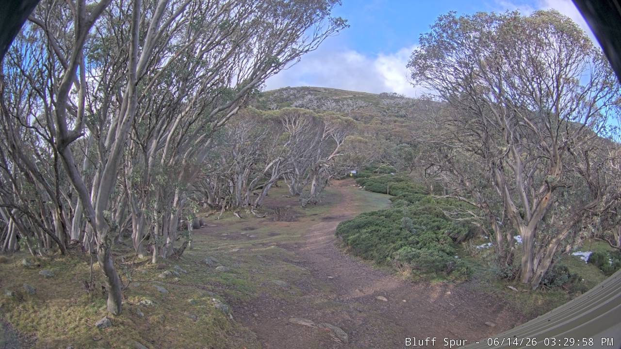 Mt Stirling Bluff Spur snow cam captured at 14 June 2026, 5:31 am
