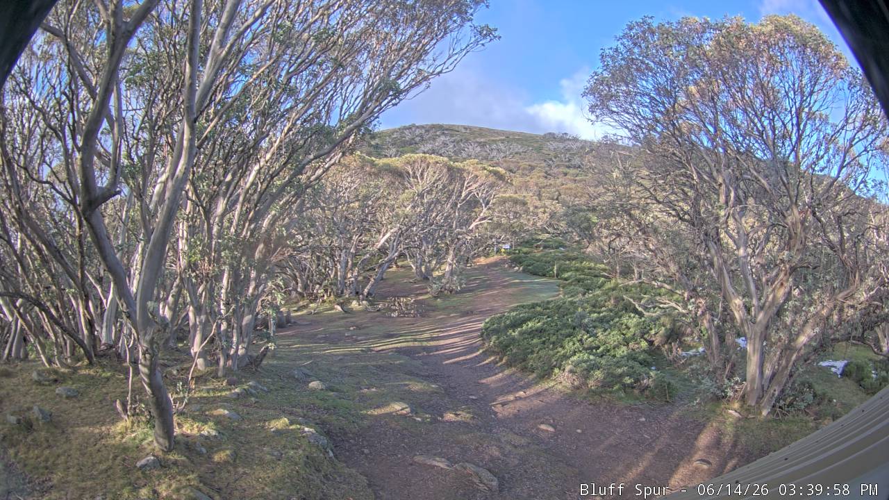 Mt Stirling Bluff Spur snow cam captured at 14 June 2026, 5:43 am