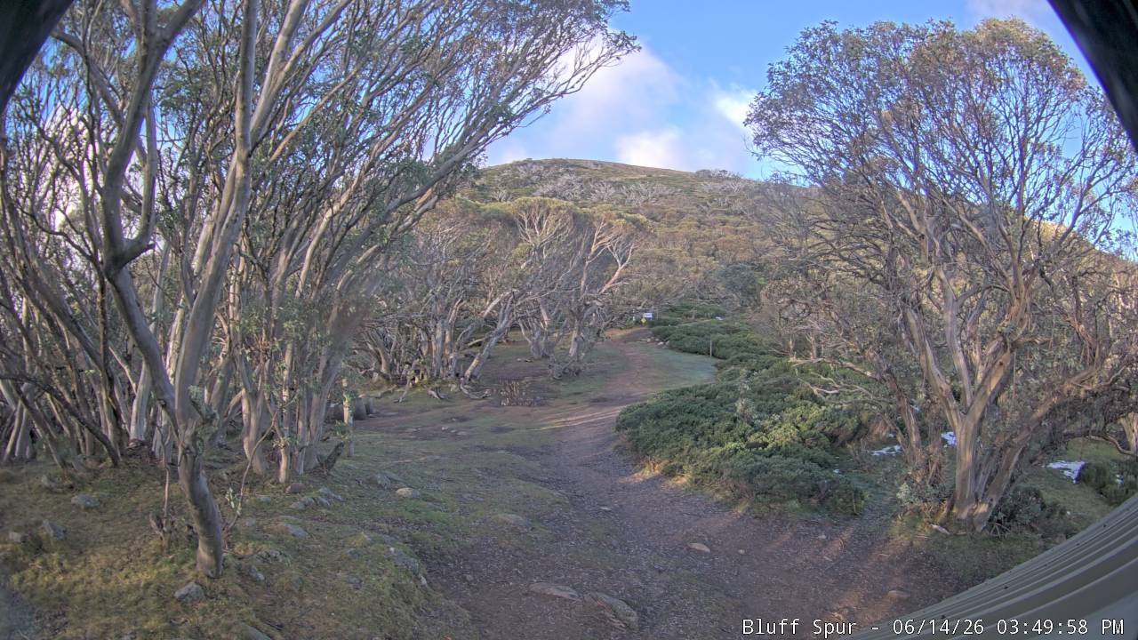 Mt Stirling Bluff Spur snow cam captured at 14 June 2026, 5:55 am