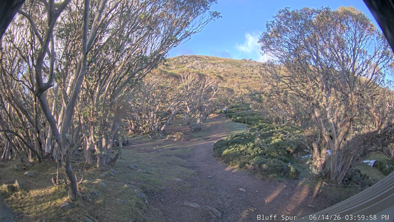 Mt Stirling Bluff Spur snow cam captured at 14 June 2026, 6:01 am