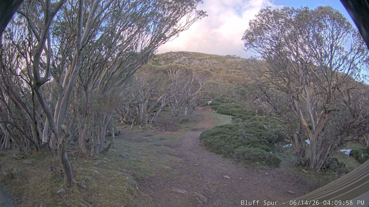 Mt Stirling Bluff Spur snow cam captured at 14 June 2026, 6:13 am