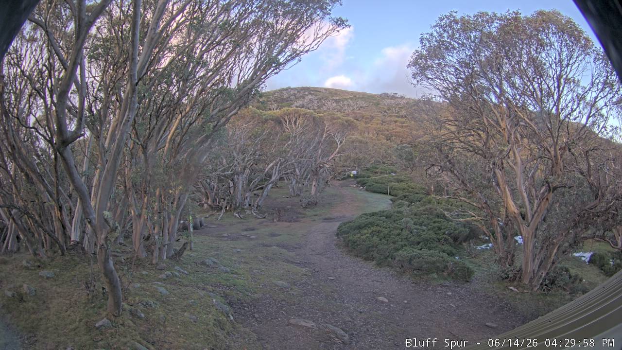Mt Stirling Bluff Spur snow cam captured at 14 June 2026, 6:31 am