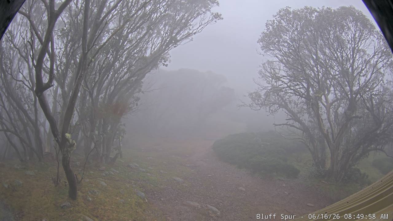 Mt Stirling Bluff Spur snow cam captured at 15 June 2026, 10:54 pm