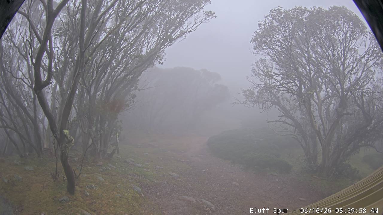 Mt Stirling Bluff Spur snow cam captured at 15 June 2026, 11:00 pm