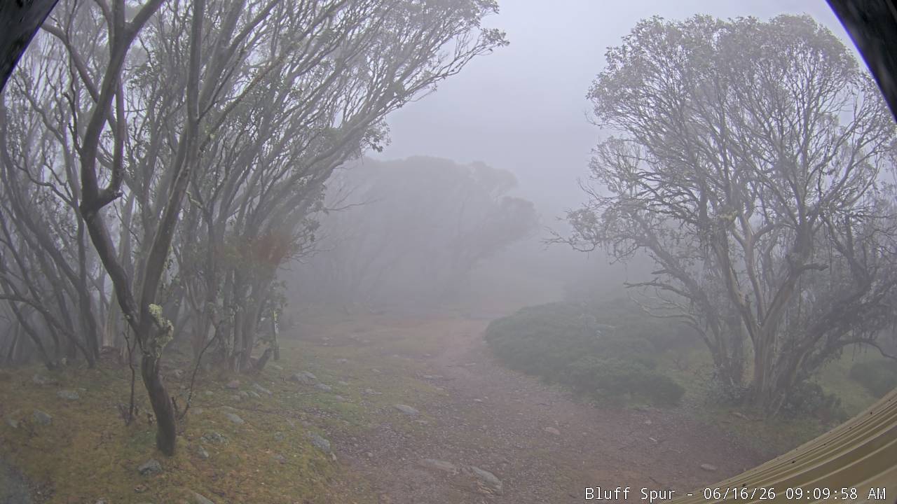 Mt Stirling Bluff Spur snow cam captured at 15 June 2026, 11:12 pm