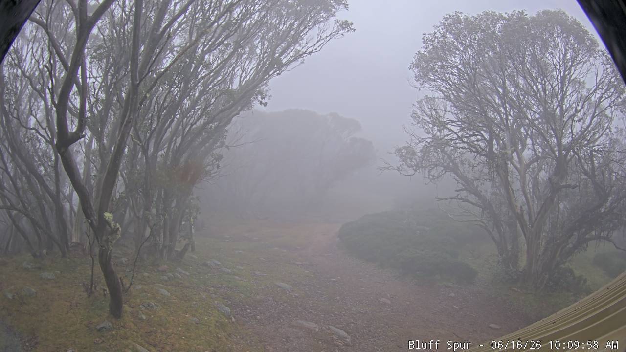 Mt Stirling Bluff Spur snow cam captured at 16 June 2026, 12:12 am