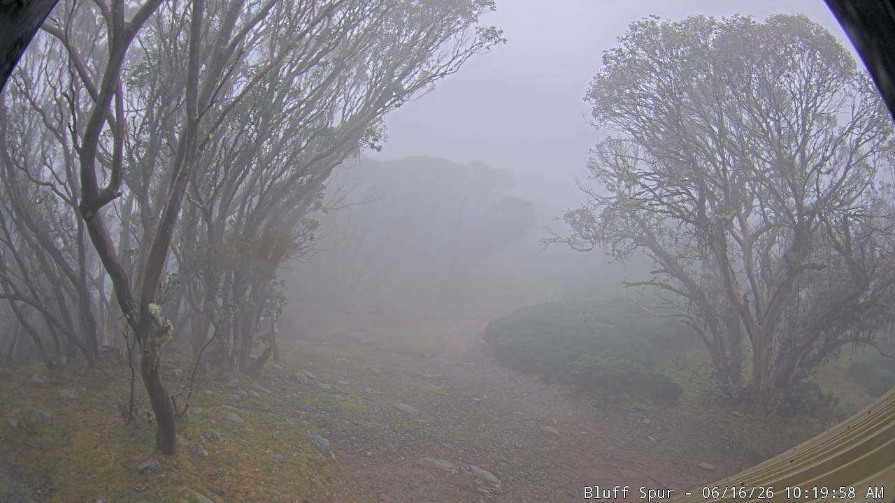 Mt Stirling Bluff Spur snow cam captured at 16 June 2026, 12:24 am