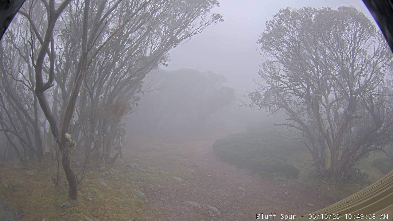 Mt Stirling Bluff Spur webcam frame