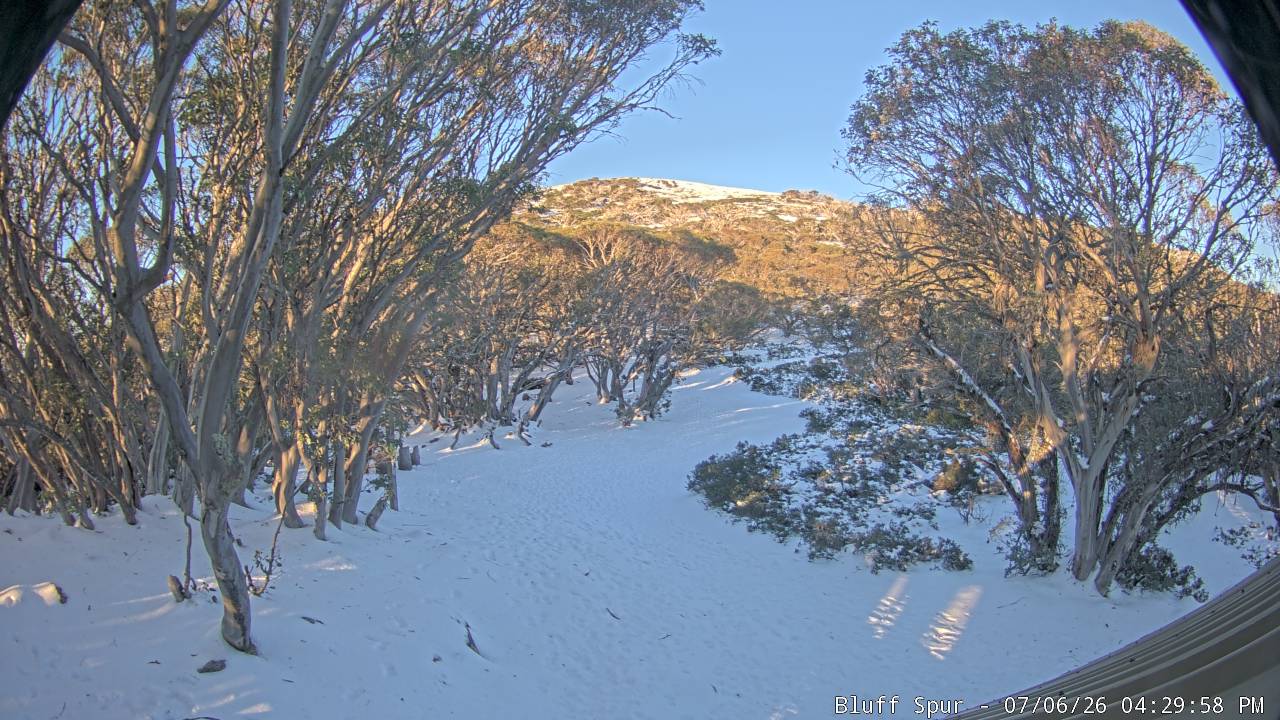 Mt Stirling Bluff Spur snow cam captured at 6 July 2026 at 4:36 pm AEST
