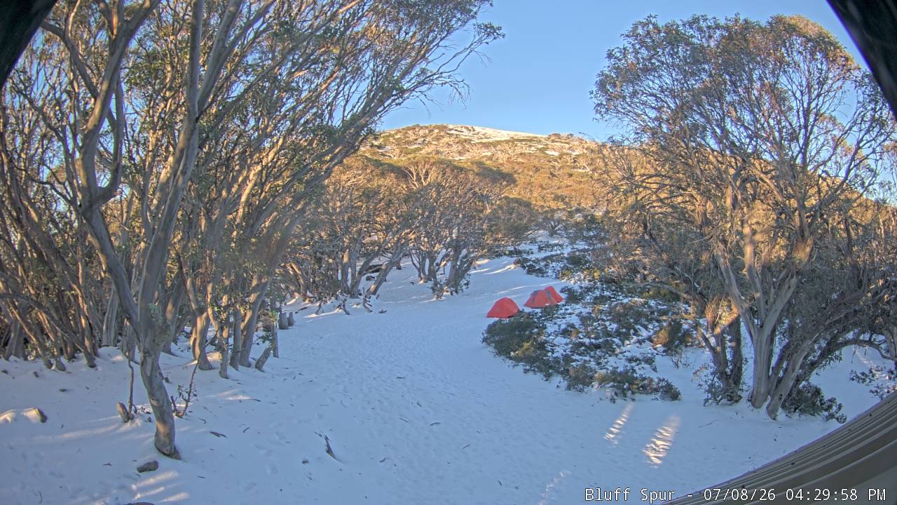 Mt Stirling Bluff Spur snow cam captured at 8 July 2026 at 4:38 pm AEST