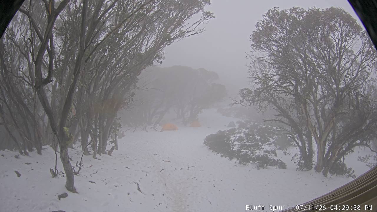 Mt Stirling Bluff Spur snow cam captured at 11 July 2026 at 4:30 pm AEST