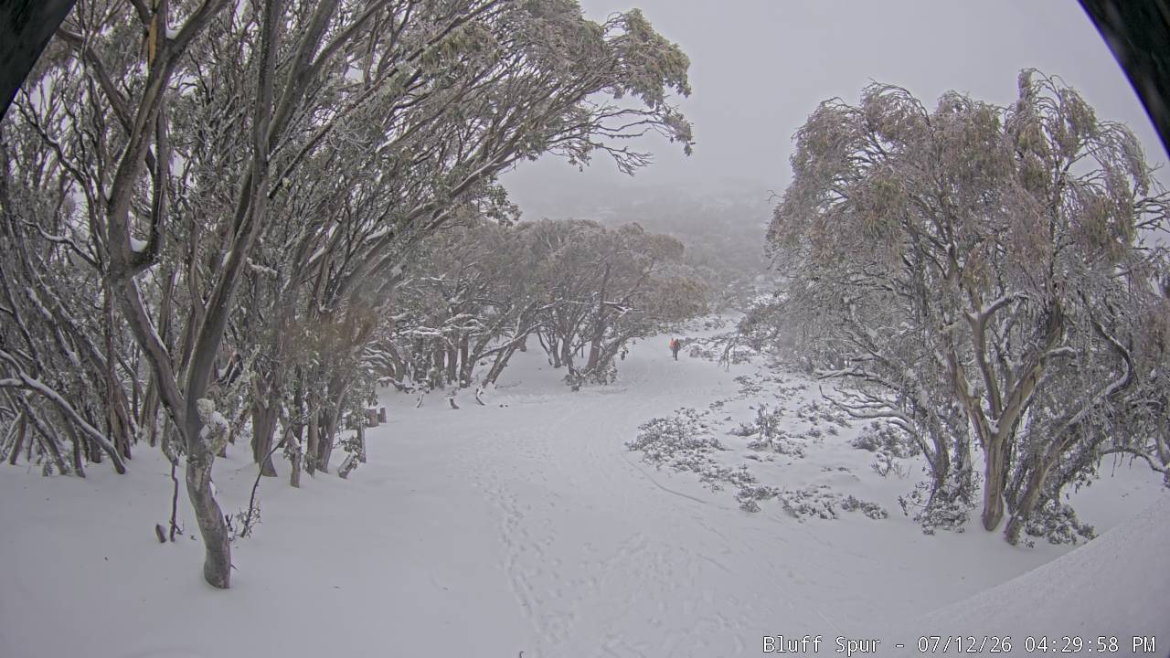 Mt Stirling Bluff Spur snow cam captured at 12 July 2026 at 4:30 pm AEST