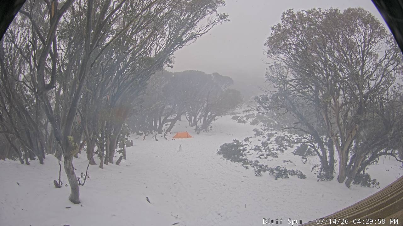 Mt Stirling Bluff Spur snow cam captured at 14 July 2026 at 4:33 pm AEST