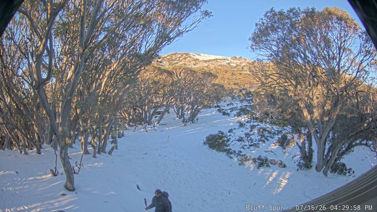 Mt Stirling Bluff Spur snow cam captured at 15 July 2026 at 4:34 pm AEST