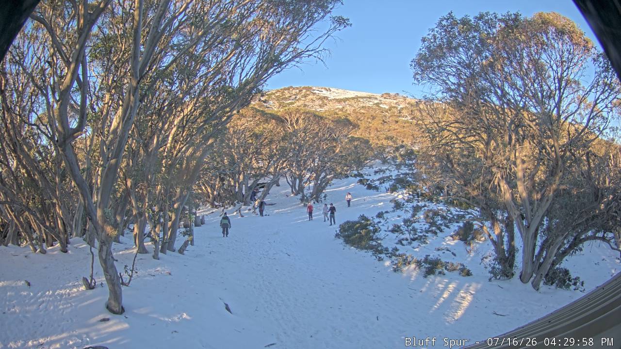 Mt Stirling Bluff Spur snow cam captured at 16 July 2026 at 4:35 pm AEST
