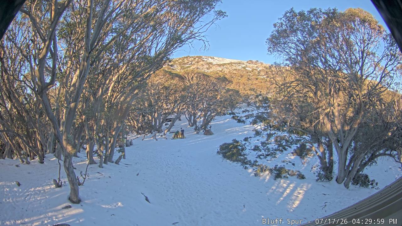 Mt Stirling Bluff Spur snow cam captured at 17 July 2026 at 4:36 pm AEST