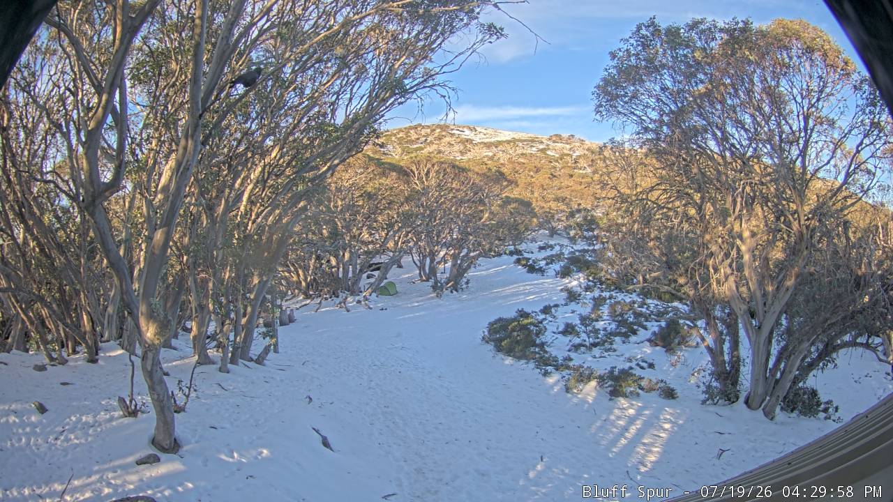 Mt Stirling Bluff Spur snow cam captured at 19 July 2026 at 4:38 pm AEST