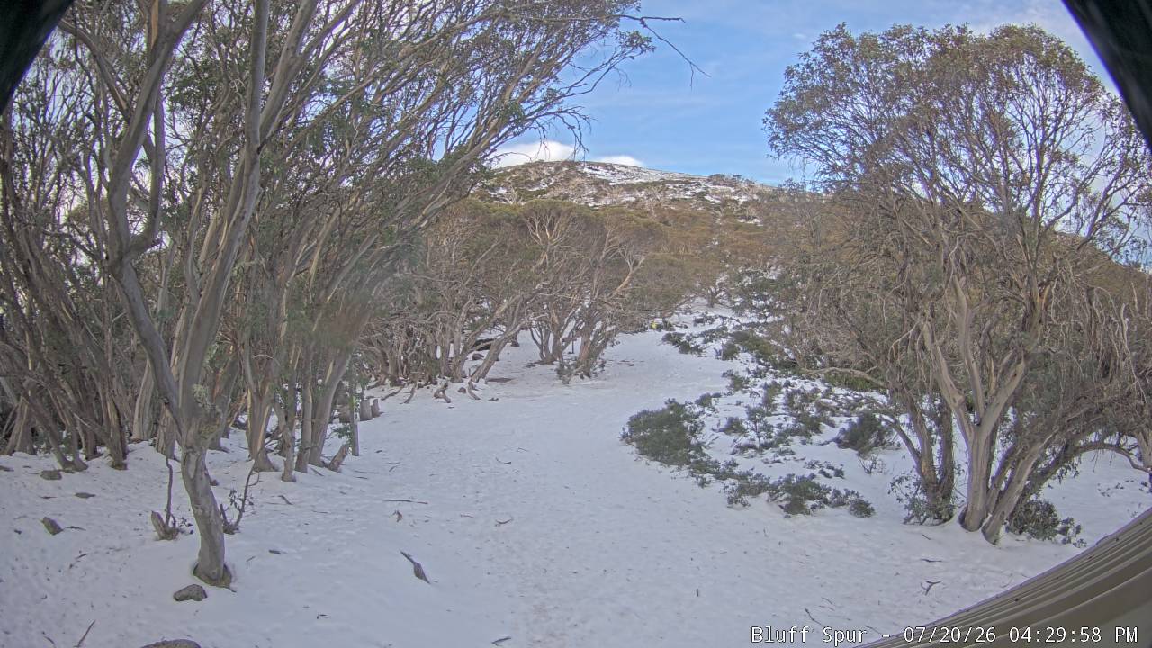 Mt Stirling Bluff Spur snow cam captured at 20 July 2026 at 4:39 pm AEST