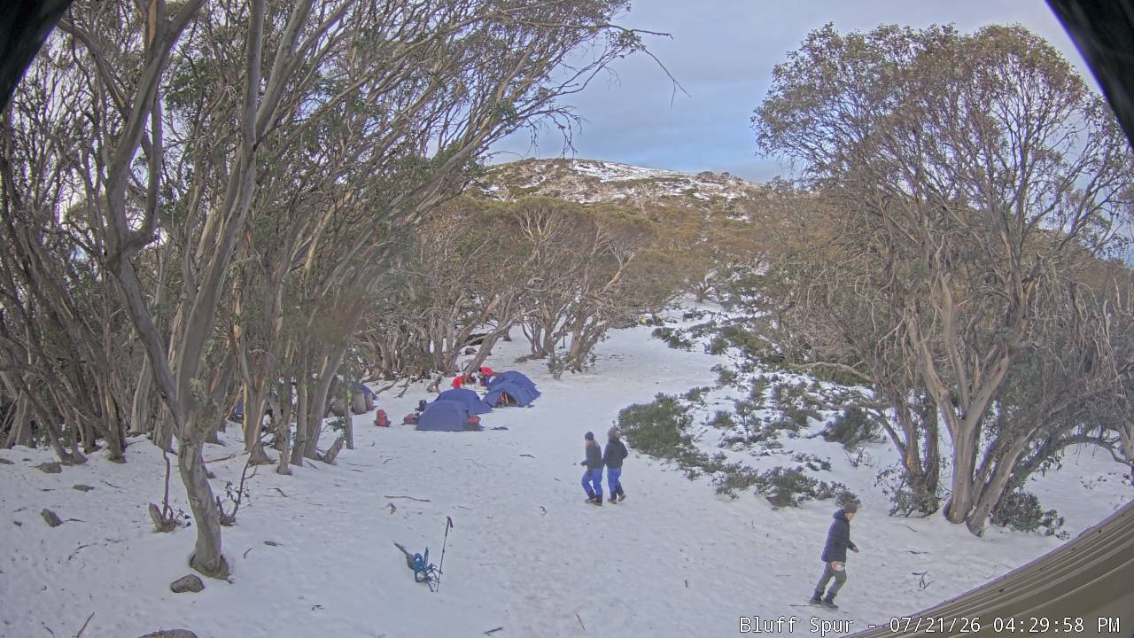 Mt Stirling Bluff Spur snow cam captured at 21 July 2026 at 4:30 pm AEST