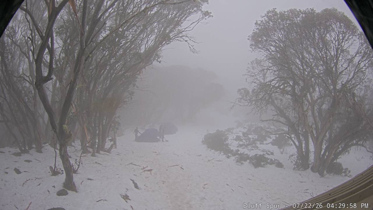 Mt Stirling Bluff Spur snow cam captured at 22 July 2026 at 4:31 pm AEST