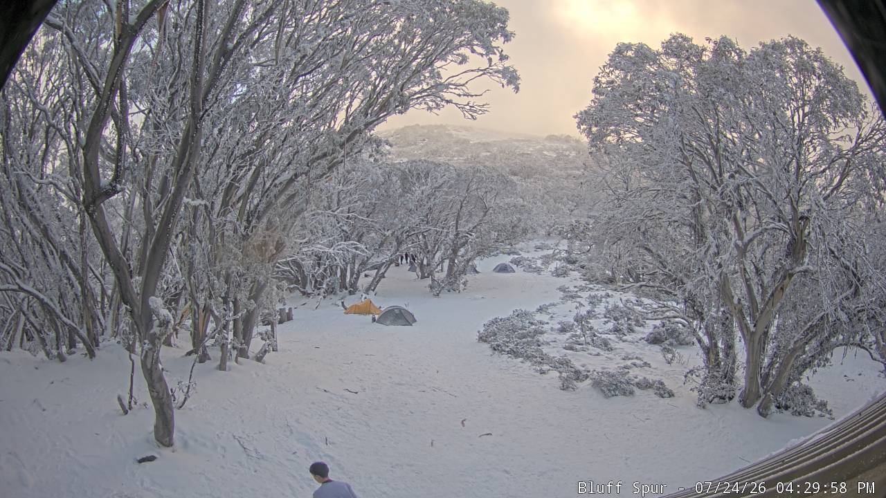 Mt Stirling Bluff Spur snow cam captured at 24 July 2026 at 4:33 pm AEST