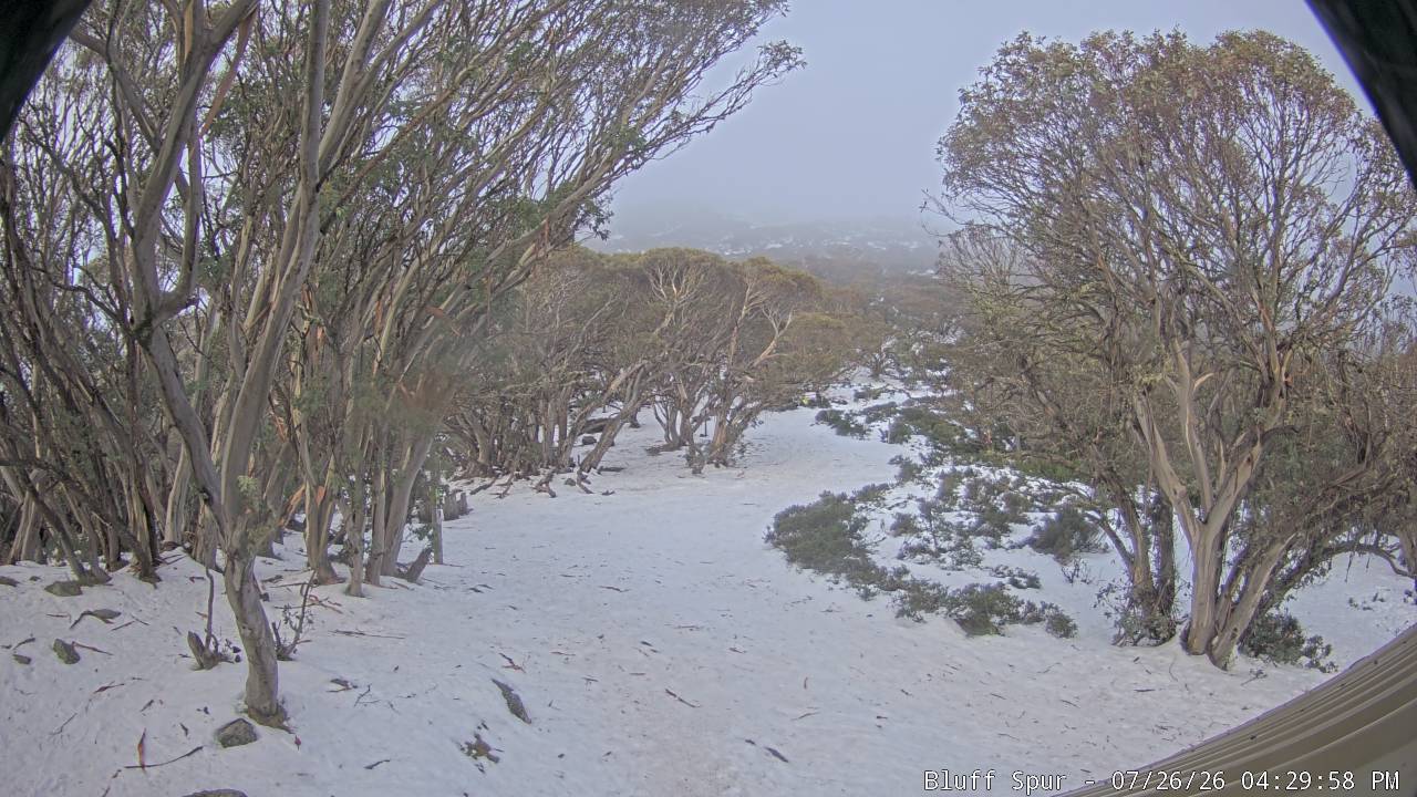 Mt Stirling Bluff Spur snow cam captured at 26 July 2026 at 4:36 pm AEST