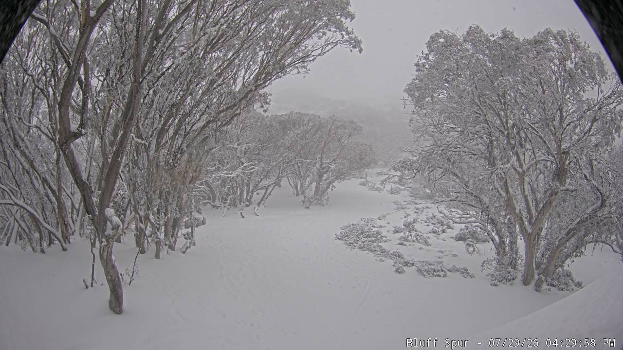 Mt Stirling Bluff Spur snow cam captured at 29 July 2026 at 4:39 pm AEST